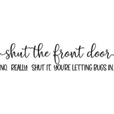 shut the front door - no really shut it - you're letting bugs in