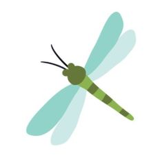 dragonfly