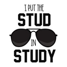 stud in study