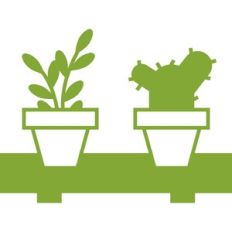 potted plants