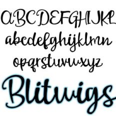 zp blitwigs