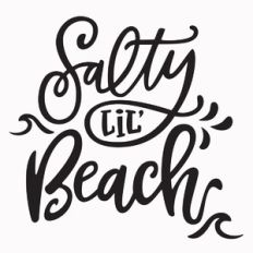 salty lil beach