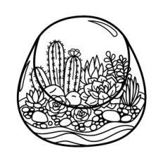 cactus and succulent terrarium