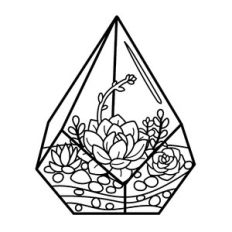 succulent terrarium geometric diamond