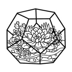 geometric succulent terrarium