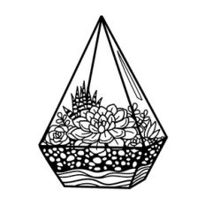succulent terrarium pyramid