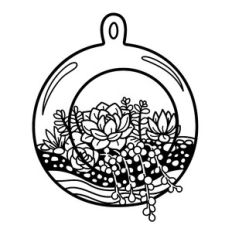 succulent round terrarium