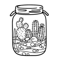 cactus terrarium