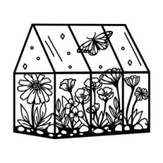 butterfly house terrarium