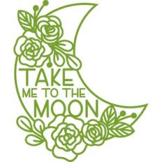 take me to the moon