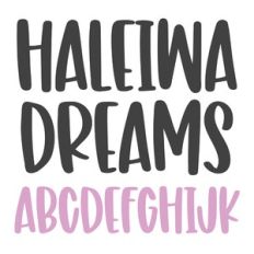 dtc haleiwa dreams