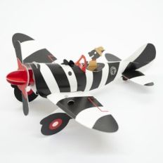 zebra airplane