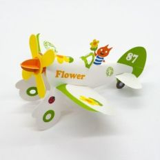 flower airplane
