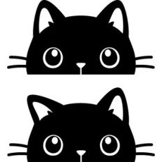peeking cat