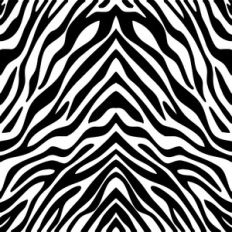 zebra skin