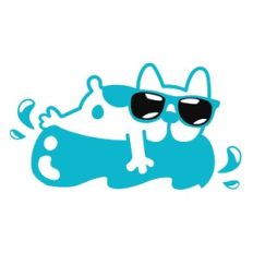 dog on pool float