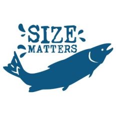 size matters fish