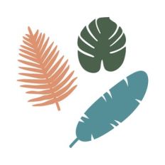 palm leaves