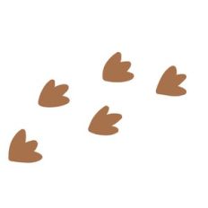 dinosaur footprints