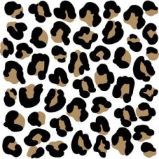 layered leopard print
