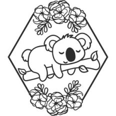 koala with hexagon flower frame