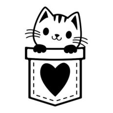 kitten in a pocket