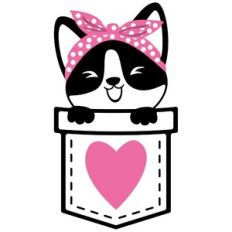 corgi with bandana in a pocket