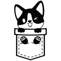corgi in a pocket