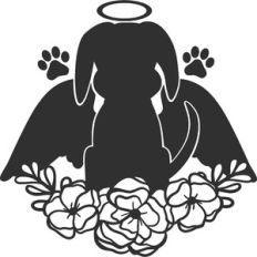angel dog
