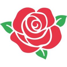 rose