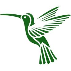 hummingbird