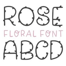 dtc rose