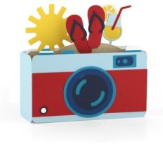 box card camera sunshine