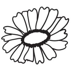 gerber daisy