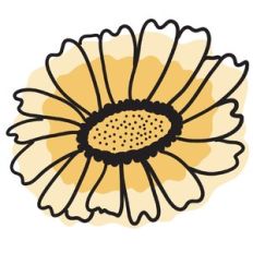 yellow daisy
