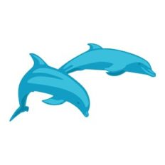 dolphin duo