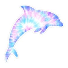 tie-dye pastel dolphin