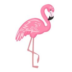flamingo light pink