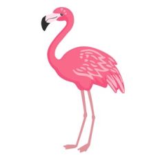 flamingo dark pink
