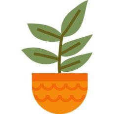 layered potted plant