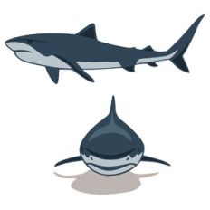 shark set