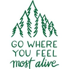 go where you feel most alive