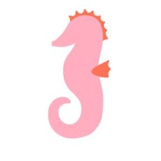 seahorse