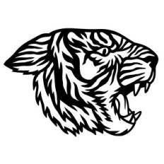 roaring tiger