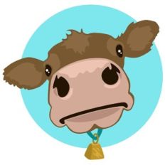 cow face