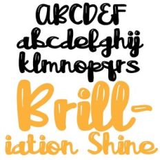 zp brilliance shine