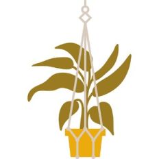 macramé plant