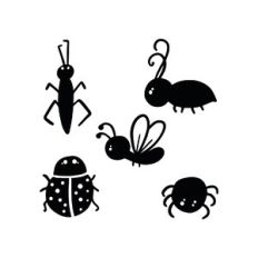 bugs : ant, fly, ladybug, spider