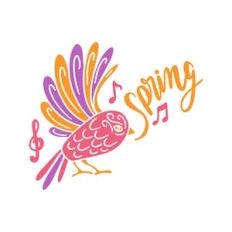 spring bird