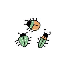 bugs